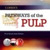 Cohen Pathways of the Pulp by Hargreaves DDS PhD FICD FACD, Kenneth M