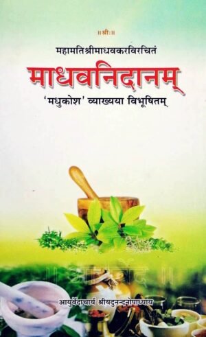 Madhav Nidanam Vol 2 by Yadunandan Upadhyaya