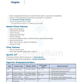 Cerebellum Academy Notes - Biochemistry