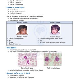 Cerebellum Academy Notes - Biochemistry