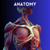 Vishal Johari 2.0 Notes - Anatomy