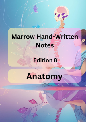 Marrow Notes Edition 8 - Anatomy