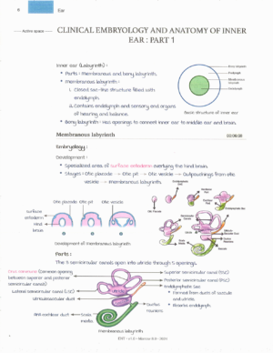 Product: Marrow Notes Edition 8 - ENT [gallery]