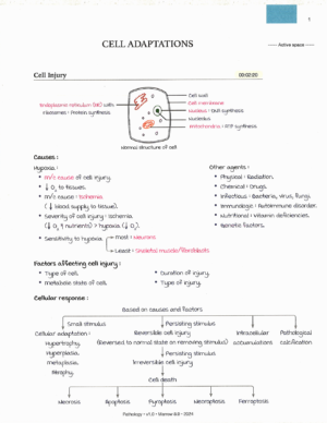 Product: Marrow Notes Edition 8 - PATHOLOGY [gallery]