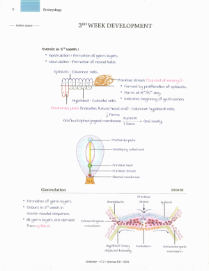 Product: Marrow Notes Edition 8 - Anatomy [gallery]