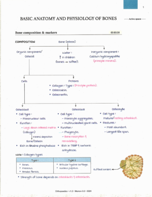 Product: Marrow Notes Edition 8 - ORTHOPAEDICS [gallery]