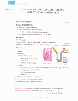 Product: Marrow Notes Edition 8 - MEDICINE [gallery]