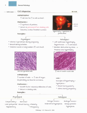 Product: Marrow Notes Edition 8 - PATHOLOGY [gallery]