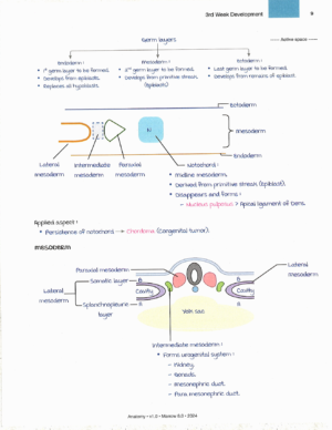 Product: Marrow Notes Edition 8 - Anatomy [gallery]