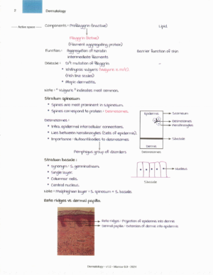 Marrow Notes Edition 8 - DERMATOLOGY [sample]