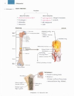 Product: Marrow Notes Edition 8 - ORTHOPAEDICS [gallery]