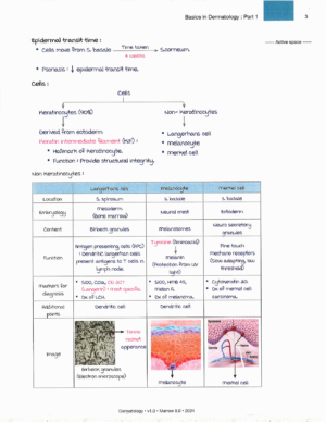 Marrow Notes Edition 8 - DERMATOLOGY [sample]