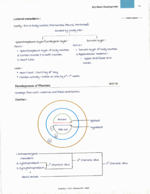 Product: Marrow Notes Edition 8 - Anatomy [gallery]