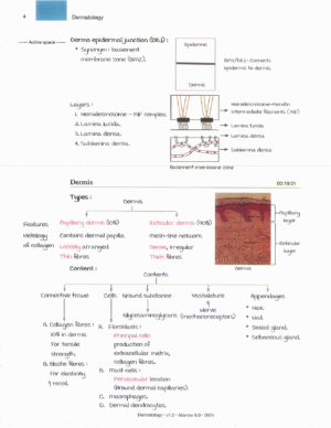 Marrow Notes Edition 8 - DERMATOLOGY [sample]
