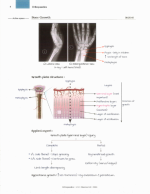 Product: Marrow Notes Edition 8 - ORTHOPAEDICS [gallery]