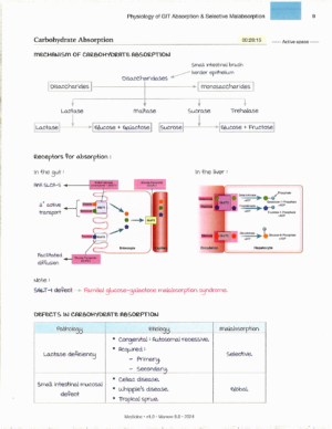 Product: Marrow Notes Edition 8 - MEDICINE [gallery]
