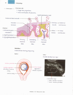 Product: Marrow Notes Edition 8 - Anatomy [gallery]