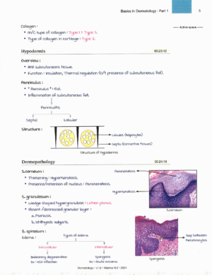 Marrow Notes Edition 8 - DERMATOLOGY [sample]