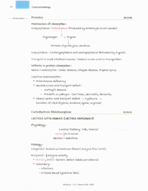 Product: Marrow Notes Edition 8 - MEDICINE [gallery]