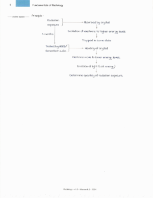 Radiology Marrow Notes Edition 8